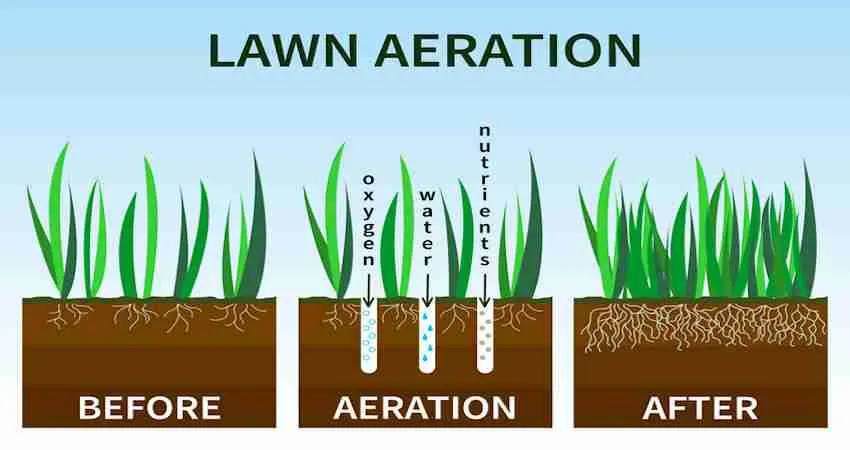 Fall-Aeration-and-Over-Seeding-3